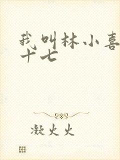我叫林小喜今年十七
