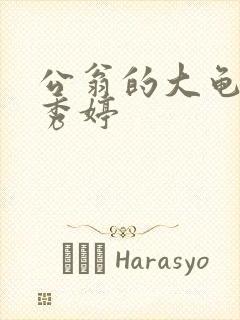 公翁的大龟挺进秀婷