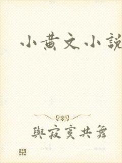 小黄文小说
