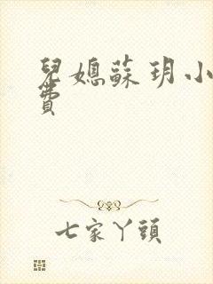 儿媳苏玥小说免费封面