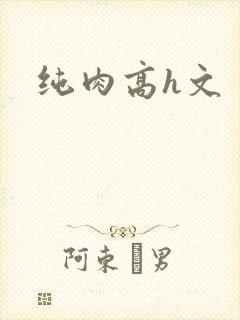 纯肉高h文