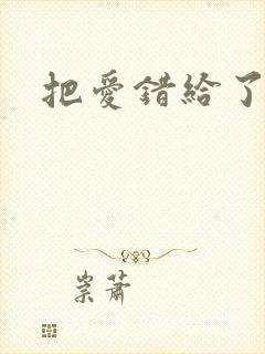 把爱错给了你
