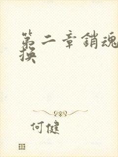 第二章销魂的交换