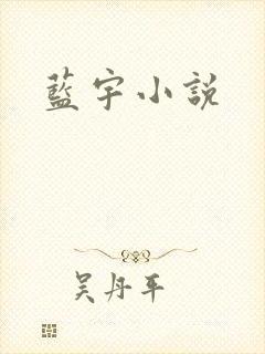 蓝宇小说
