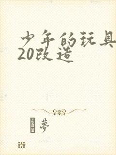 少年的玩具1一20改造