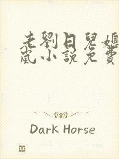 老刘日儿媳妇张岚小说免费阅读