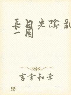 长日光阴 乱作一团封面