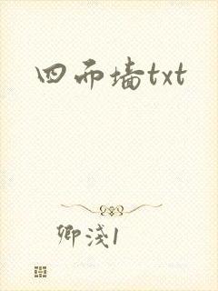 四面墙txt