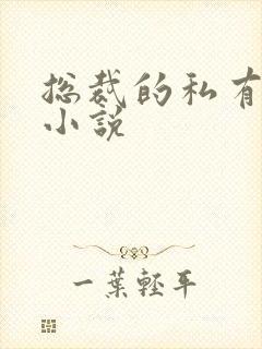 总裁的私有宝贝小说