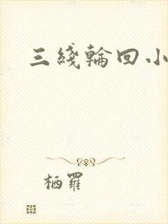 三线轮回小说