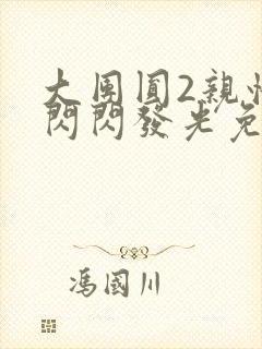 大团圆2亲情会闪闪发光免费封面