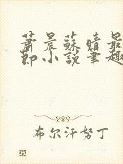 萧晨苏晴最新章节小说笔趣阁