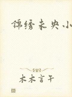 锦绣未央小说