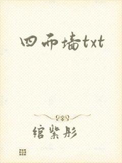 四面墙txt封面