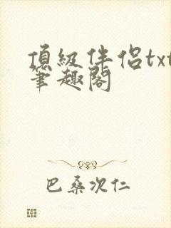 顶级伴侣txt笔趣阁