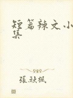 短篇辣文小说合集