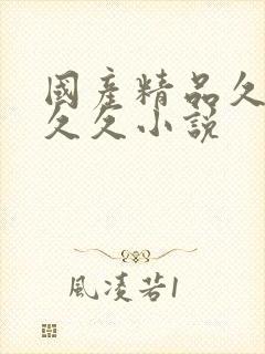 国产精品久久久久久小说