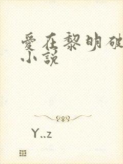 爱在黎明破晓前小说