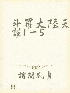 斗罗大陆天狂传说1一5