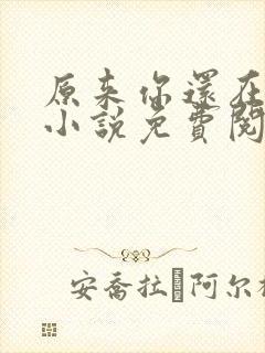 原来你还在这里小说免费阅读封面