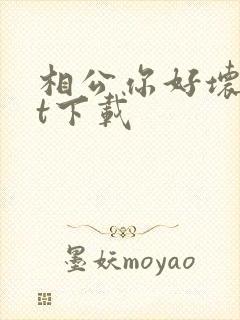 相公你好坏txt下载