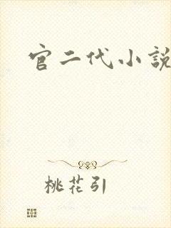 官二代小说封面