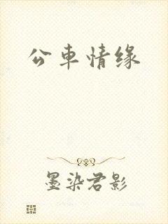 公车情缘