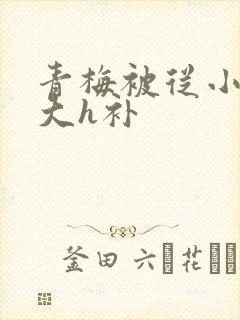 青梅被从小摸到大h补