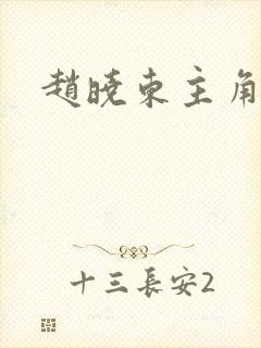 赵晓东主角小说封面