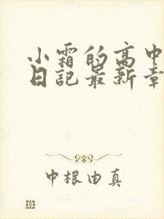 小霜的高中成长日记最新章节