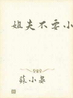 姐夫不要小说