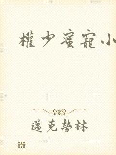 权少蜜宠小娇妻