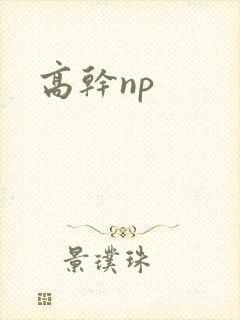 高干np