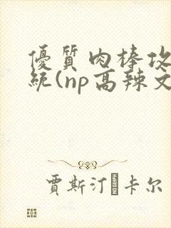 优质肉棒攻略系统(np高辣文)