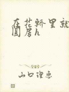 在花轿里就开始圆房h封面