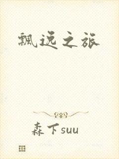 飘逸之旅