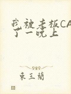 我被老板CAO了一晚上