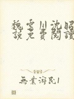 魏云川沈昭禾小说免费阅读笔趣阁