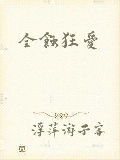 全蚀狂爱封面