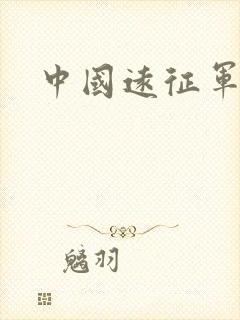 中国远征军小说