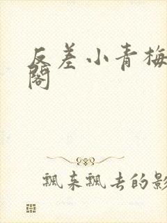 反差小青梅笔趣阁
