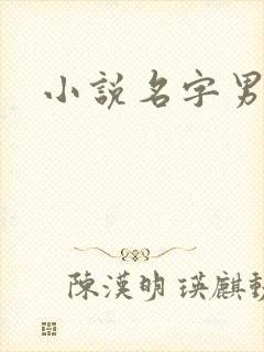 小说名字男生