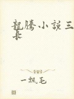 龙腾小说三宝局长