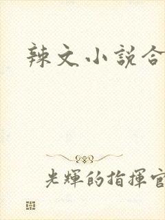 辣文小说合集封面