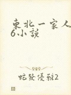 东北一家人1一6小说