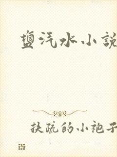 盐汽水小说