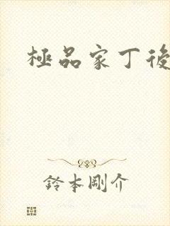 极品家丁后传封面