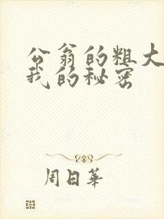 公翁的粗大放进我的秘密