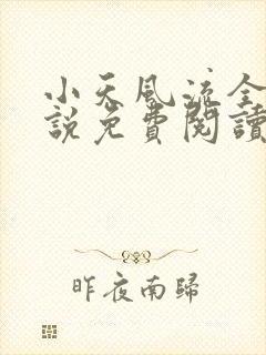 小天风流全集小说免费阅读