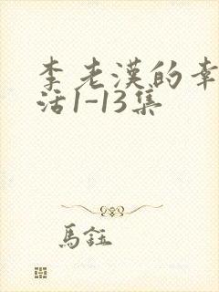 李老汉的幸福生活1-13集